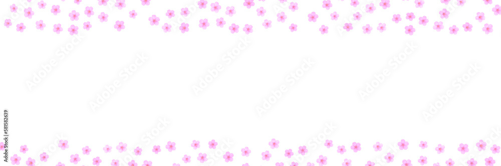 pink cherry flowers on transparent background	

