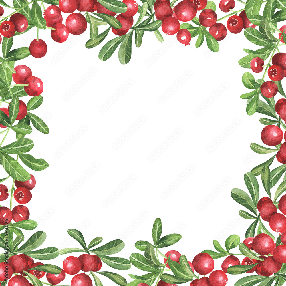 Watercolor hand drawn rectangular frame with green leaves and wigs and red berries on the white background. Perfect for invitations and cards. Watercolor hand drawn rectangular frame with green leaves and wigs and red berries on the white background. Perfect for invitations and cards.