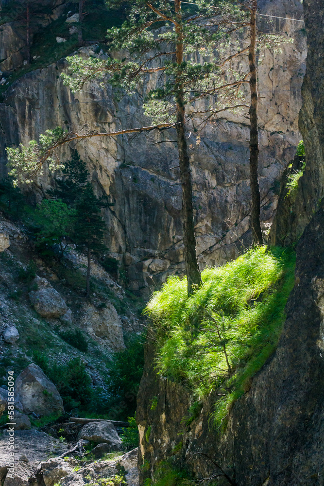 waterfall in the forest waterfall in the forest