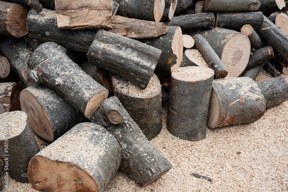 Firewood. Machine cut raw wood on the ground Firewood. Machine cut raw wood on the ground