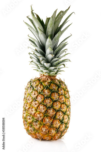 Pineapple isolated on white background. Pineapple fruit whole . Full depth of field.