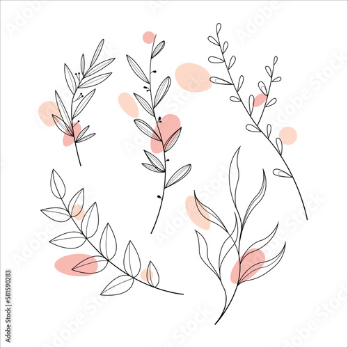 Outlines of branches with colored delicate abstract elements. Set of linear twigs.  Vector illustration.