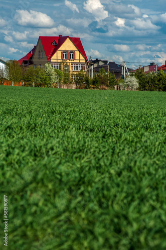 Bright cumulus clouds and a green field of winter wheat and a view of House w...