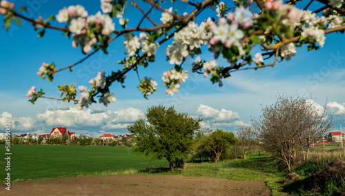 a view of the countryside, a green field and the village in spring through th...
