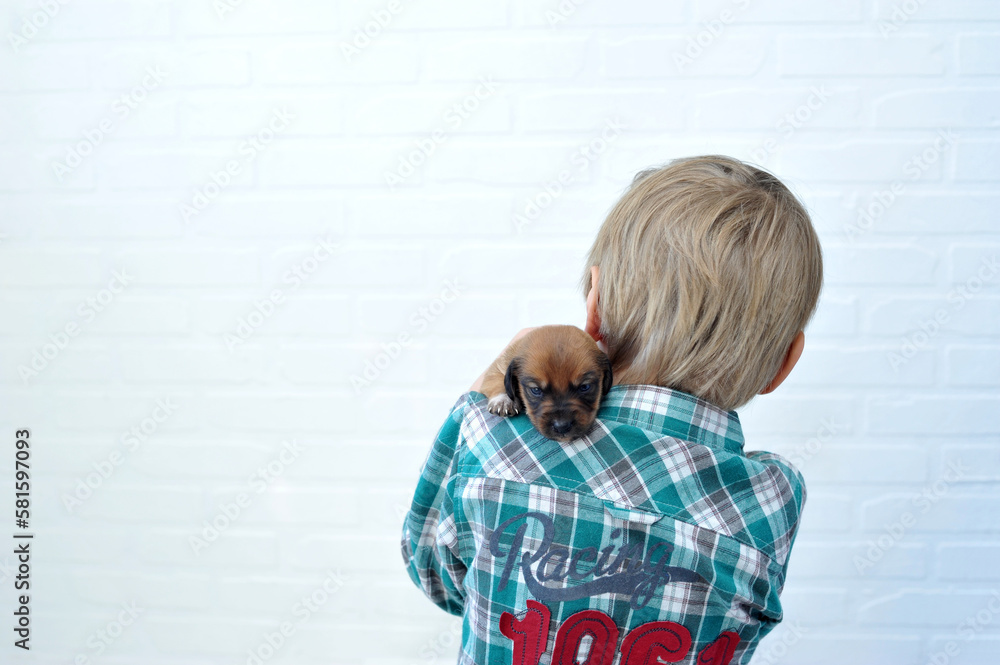 menino feliz com filhote de cachorro fofo menino feliz com filhote de cachorro fofo