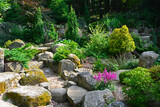 iglaste krzewy w ogrodzie skalnym, Rockery garden with stones and small coniferous shrubs, ogród japoński,  japanese garden, designer garden	
