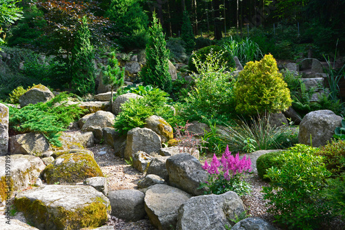 iglaste krzewy w ogrodzie skalnym, Rockery garden with stones and small coniferous shrubs, ogród japoński, japanese garden, designer garden 