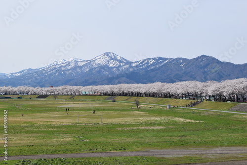 金峯山（きんぼうざん）／ 山形県の庄内海浜県立自然公園内にあり、国指定名勝・国指定重要文化財に指定されている金峯山は、標高459mです。山頂からの景観は、鶴岡市内を見下ろすことができ絶景です。