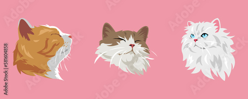 set of cat faces with different types, expressions, colors, shapes. vector illustration.