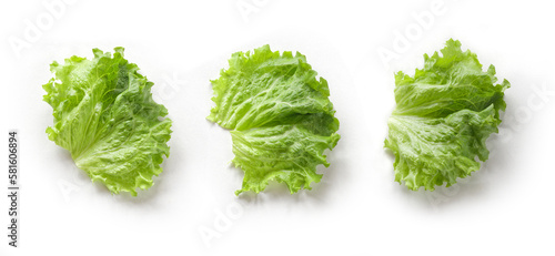 lettuce salad isolated on white background