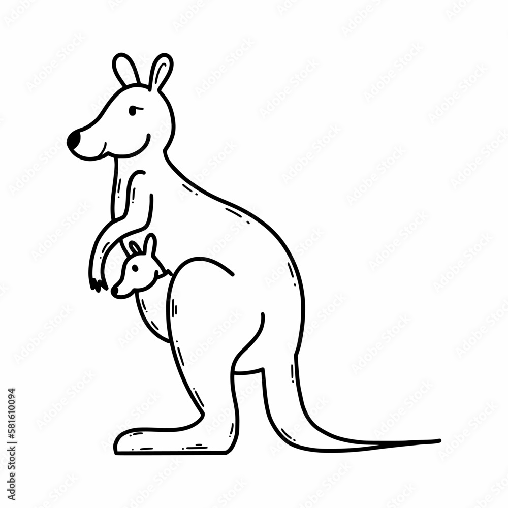 Fototapeta premium Kangaroo mom and baby. Animals of Australia. Vector illustration of doodles. Sketch.