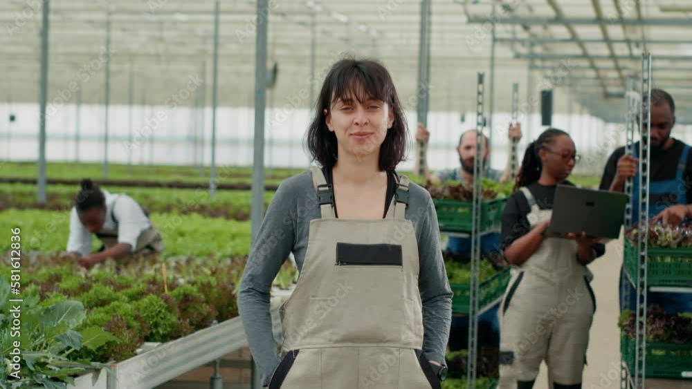 Portrait of confident woman posing with arms crossed while farm workers are using laptop with agricultural management software in greenhouse. Smiling picker standing in organic vegetables plantation. Portrait of confident woman posing with arms crossed while farm workers are using laptop with agricultural management software in greenhouse. Smiling picker standing in organic vegetables plantation.
