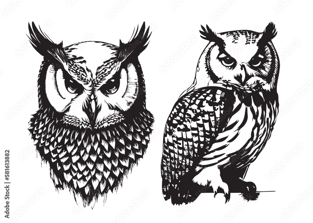 Fototapeta premium Transparent Owl Tattoo Set, Owl Vector Collection, Owl Drawings