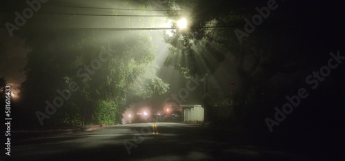 Fog In The Street During The Night  Lights Rays Through Trees