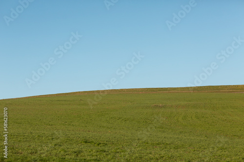 field and blue sky