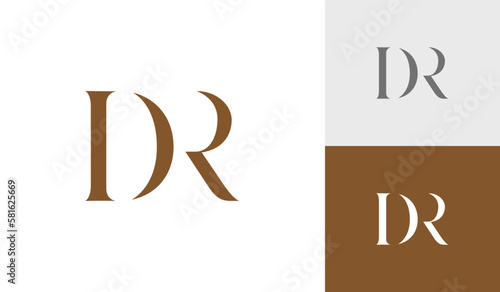 Letter DR monogram logo design vector