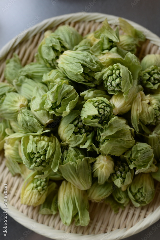 Butterbur shoot has a little bitter taste and it is a typical wild spring vegetable. Butterbur shoot has a little bitter taste and it is a typical wild spring vegetable.