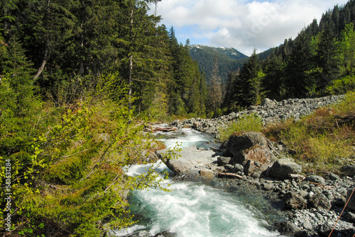 Canvas Print A rushing creek flowing down from Della Falls in Strathcona Provincial Park, Van