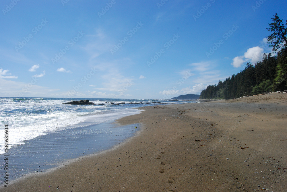 Ocean waves crash along a remote beach on the West Coast Trail, Vancouver Island, BC