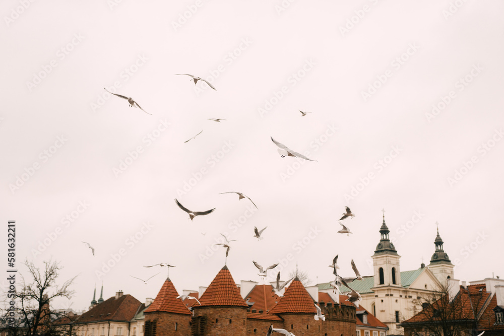 Flock of birds flying in the Warsaw Old Town in Poland