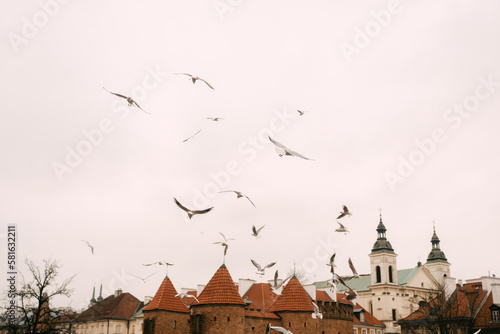 Obraz na płótnie Flock of birds flying in the Warsaw Old Town in Poland w salonie