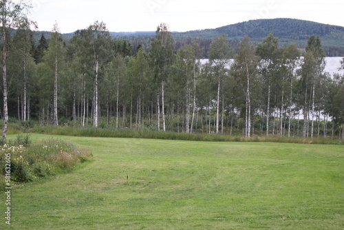 field in the mountains