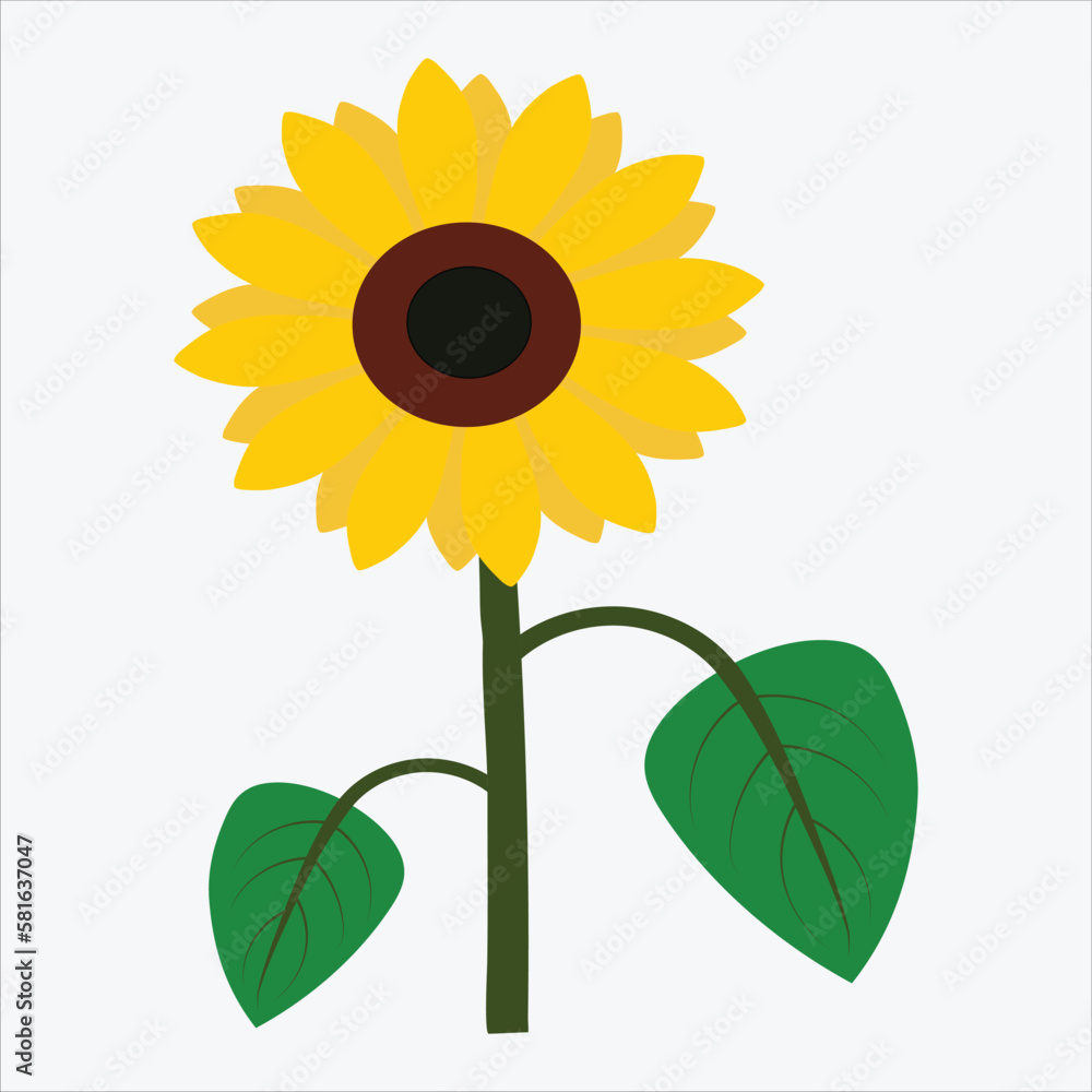Obraz premium A pretty sunflower vector art work.