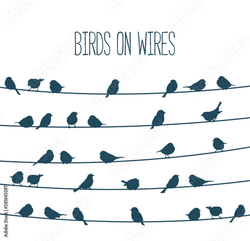 Sparrow birds flock on power line wires, vector sky silhouette background. Black birds flying and sitting on electric cables of power line, sparrows or bullfinches in group row on electricity wires