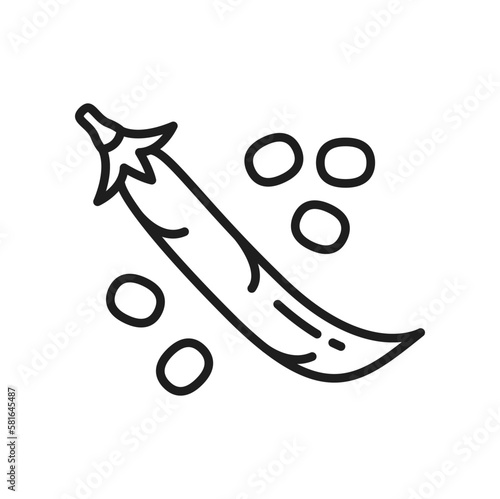 Pea closed pod isolated legume vegetarian food thin line icon. Vector dieting veggies, pigeon pea or cowpea, raw bobs in peapod and beans