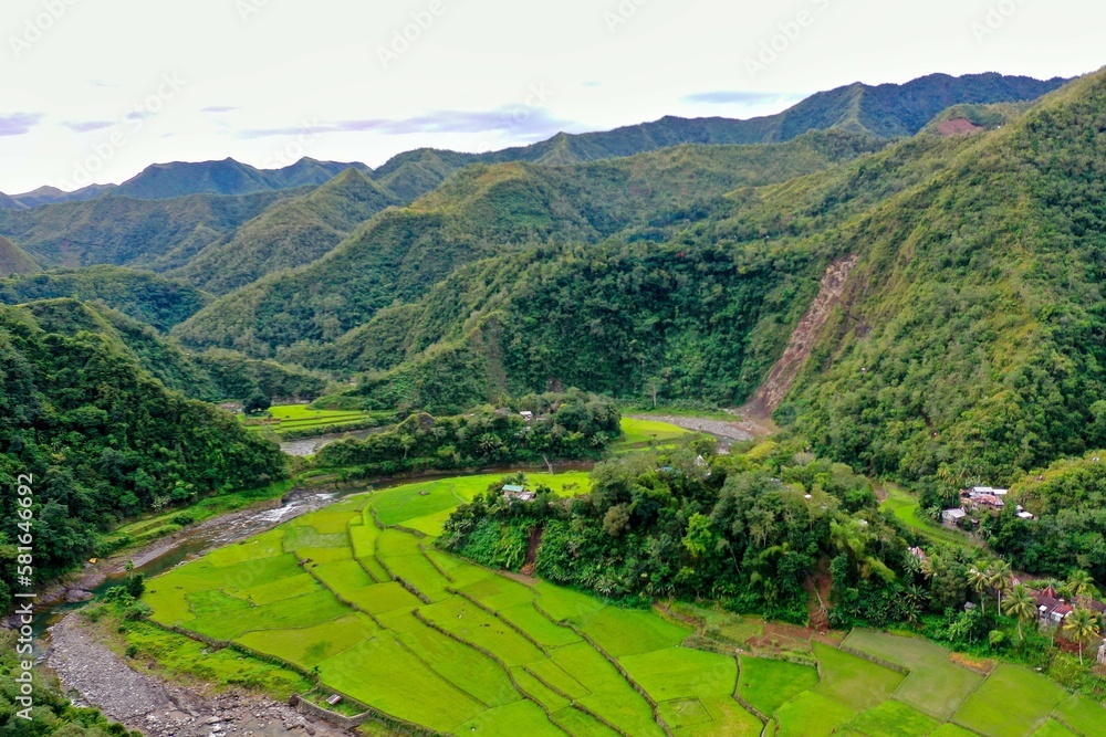 Panorama drone shot over the rice terraces of Banaue in the Philippines, surrounded by green hills covered with trees.