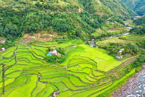 Bird's eye drone shot over the rice terraces of Banaue in the Philippines, surrounded by trees and bushes.