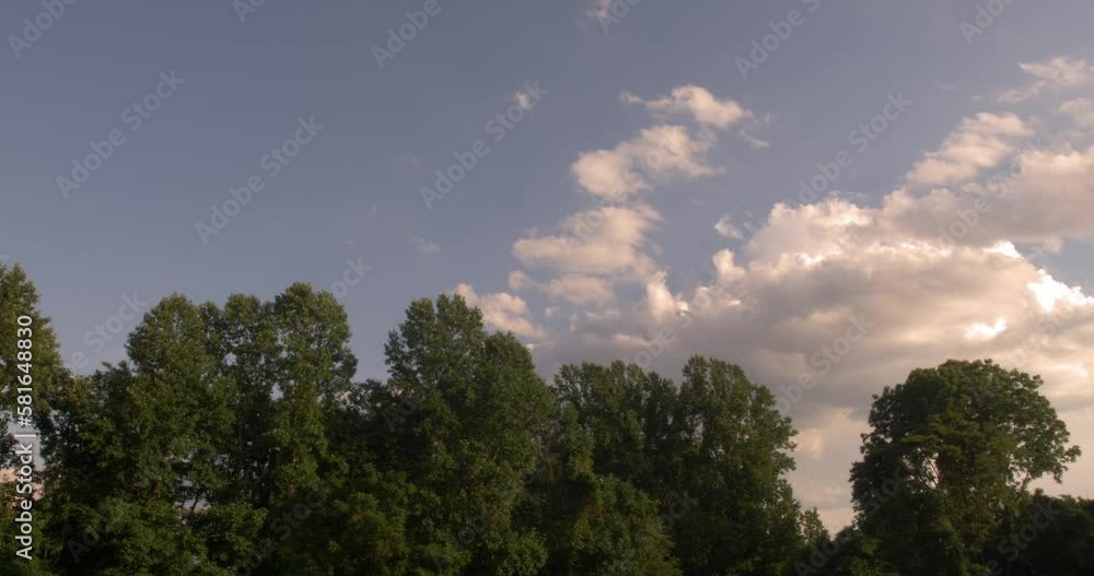 Nature canopy with passing clouds Nature canopy with passing clouds