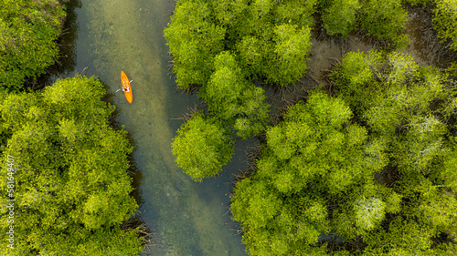 Fototapeta Naklejka Na Ścianę i Meble -  aerial view of woman kayaking on the river in the forest she admires nature and adventures in the jungle