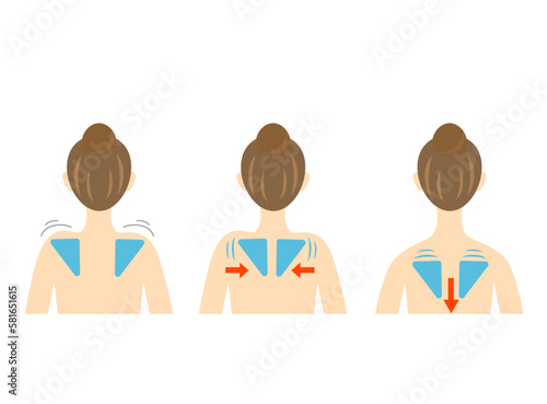 Women's back scapular and shoulder blades square shoulder and sloped shoulder photo