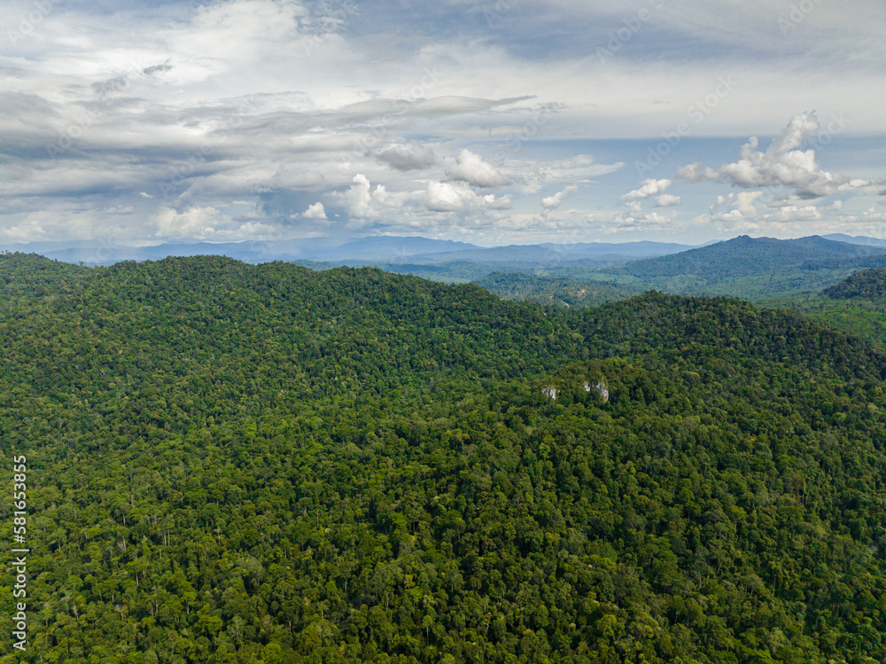 Obraz premium Aerial view of mountain with rainforest. Slopes of mountains with evergreen vegetation. Borneo, Malaysia.