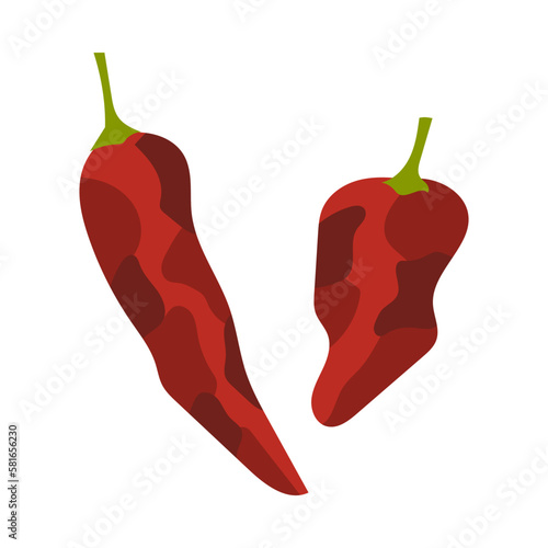 乾燥唐辛子。フラットなベクターイラスト。
Dried pepper. Flat designed vector illustration.