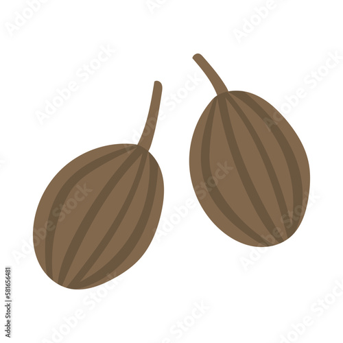 草果。フラットなベクターイラスト。
Cao guo. Flat designed vector illustration.