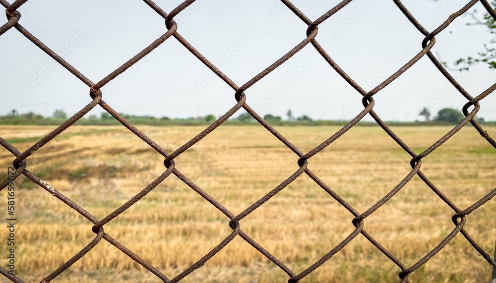 Fototapeta premium Close up wire mesh steel with natural background