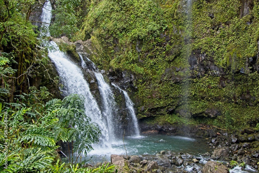 Fototapeta premium The Road to Hana is a narrow winding highway on the Hawaiian island of Maui with numerous waterfalls and other scenic sights