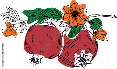 Sketch style two whole pomegranate fruits with leaves and flowers on white background