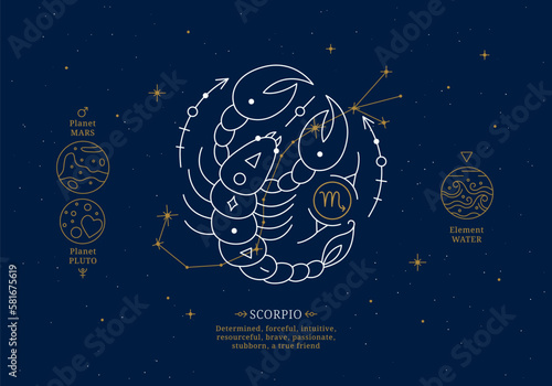 Scorpio zodiac sign with description of personal features. Astrology horoscope card with zodiac constellation on dark blue sky thin line vector illustration