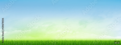 Fresh spring green grass under beautiful blue sky. Nature background with green grass and blue sky. Vector illustration.