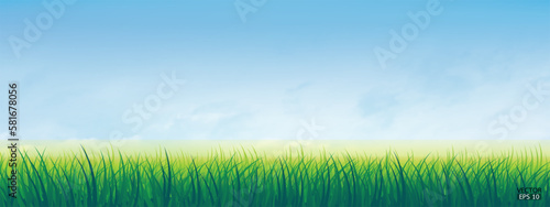 Fresh spring green grass under beautiful blue sky. Nature background with green grass and blue sky. Vector illustration.