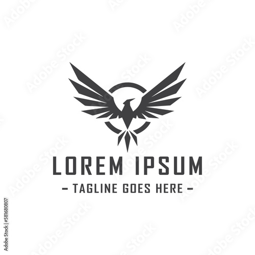 A unique and modern logo design featuring a flying raven with its wings spread wide. The logo is perfect for businesses in the entertainment or sports industry, representing power, strength, and agili