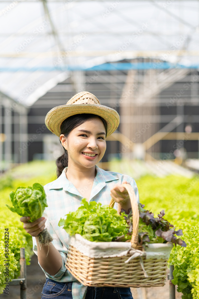 Vegetable garden owner, Asian female farmer walking inspecting vegetables, hydroponics, organic, produce, farm, nursery, agribusiness concept