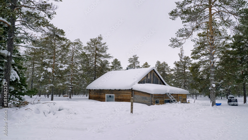 Western Siberia, Khanty people's camp: a hut in the forest.