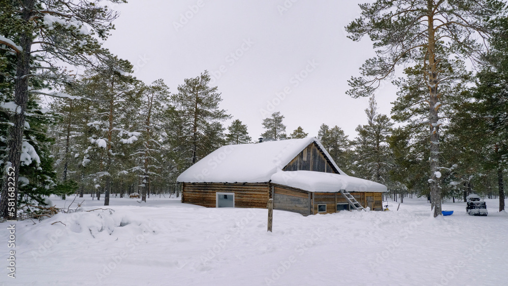 Western Siberia, Khanty people's camp: a hut in the forest. Western Siberia, Khanty people's camp: a hut in the forest.