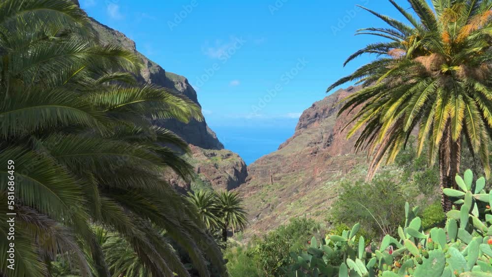 Tropical View Of Maska Village With Palm Trees And Cactus In The Foreground, Mountain Valley, Ocean And Blue Sky In The Background, Tenerife, Spain Tropical View Of Maska Village With Palm Trees And Cactus In The Foreground, Mountain Valley, Ocean And Blue Sky In The Background, Tenerife, Spain