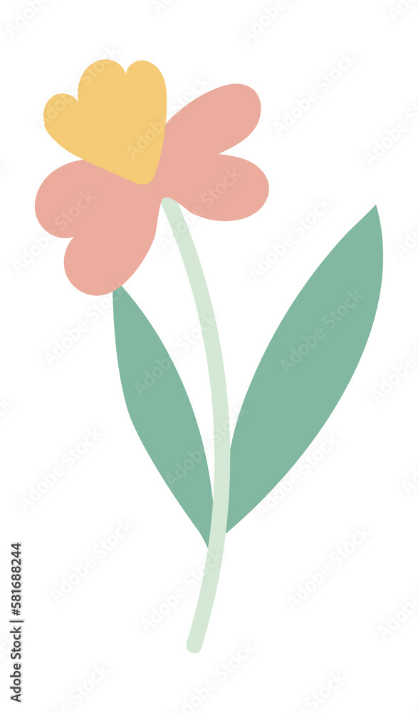 Spring flower Spring flower
