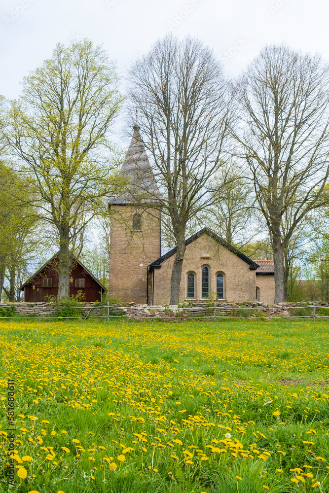 Flowering dandelions at a country church at spring